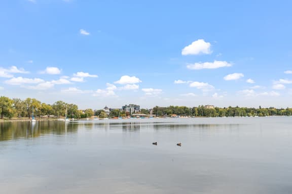 Dean Parkway Estate
